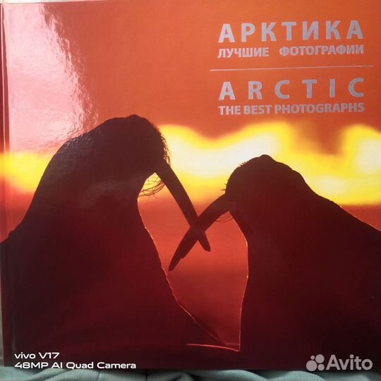 Арктика. Лучшие фотографии Анисимов С. В