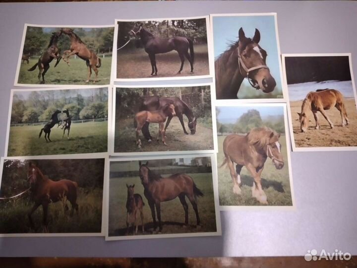 Набор открыток 