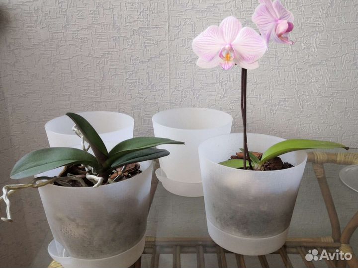 Кашпо для цветов, пластик