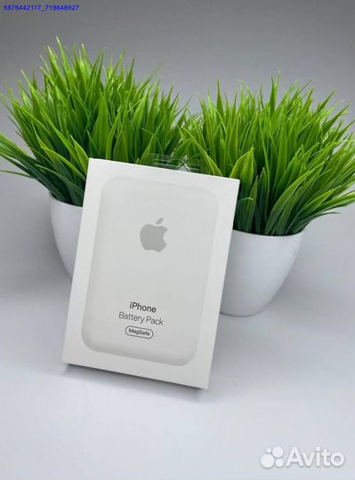Apple battery pack
