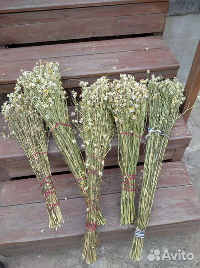 Веники для бани и травы в пучках