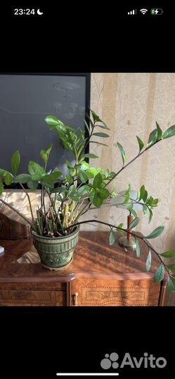 Горшок для цветов керамика большой