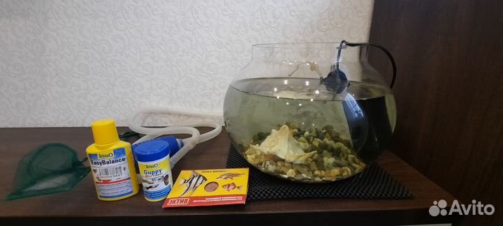 Аквариумные рыбки Гуппи