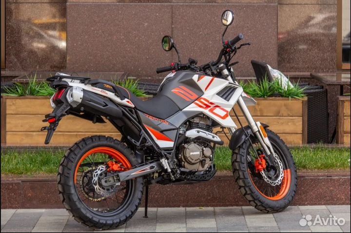 Fuego Tekken 250 3.0