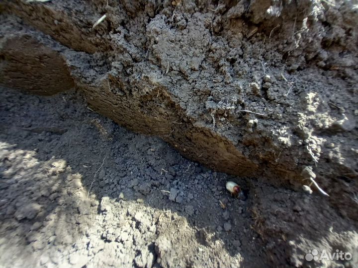 Чернозем - Перегной плодород.35кг и насыпом,5т,15