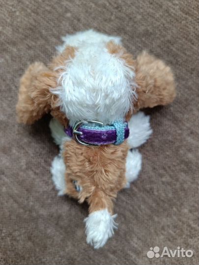 Журнал и собака The dog collection 1