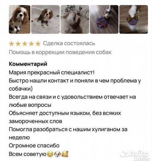 Кинолог, зоопсихолог, дрессировка собак