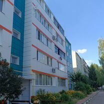 1-к. квартира, 30 м², 1/5 эт.