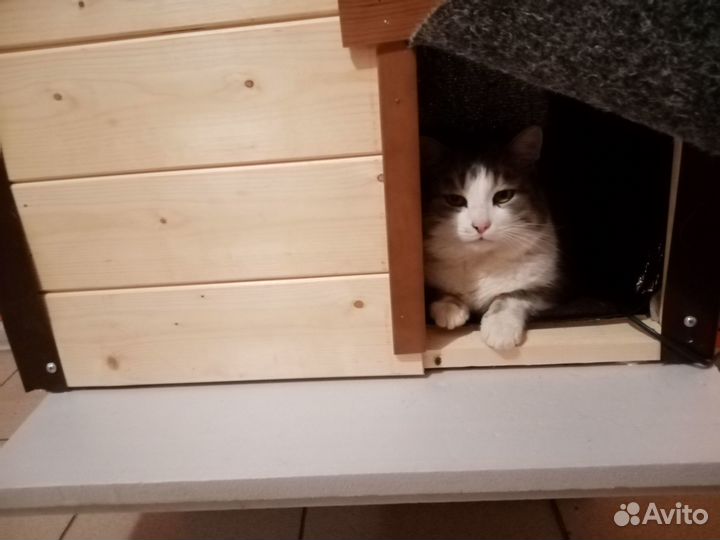 Домик для кошки. Уличный утепленный