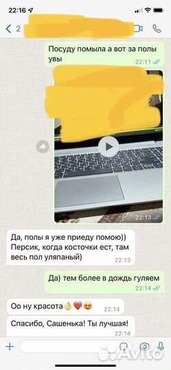 Выгул, зооняня, передержка, Догситтер Центр