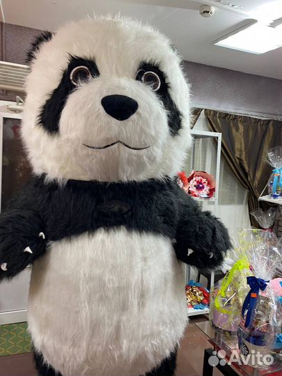 Аэро костюмы,ростовая кукла