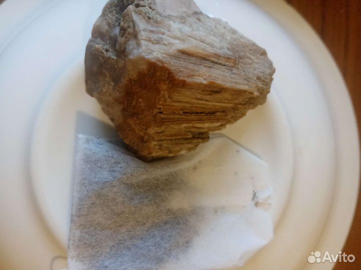 Окаменелости Хететес