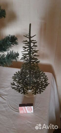 Ель малютка, СССР и современная