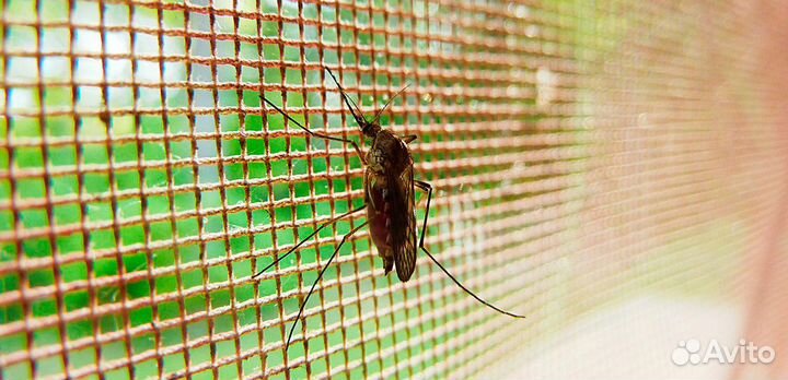 Москитная сетка на окна с установкой