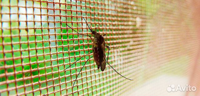 Москитная сетка на окна с установкой