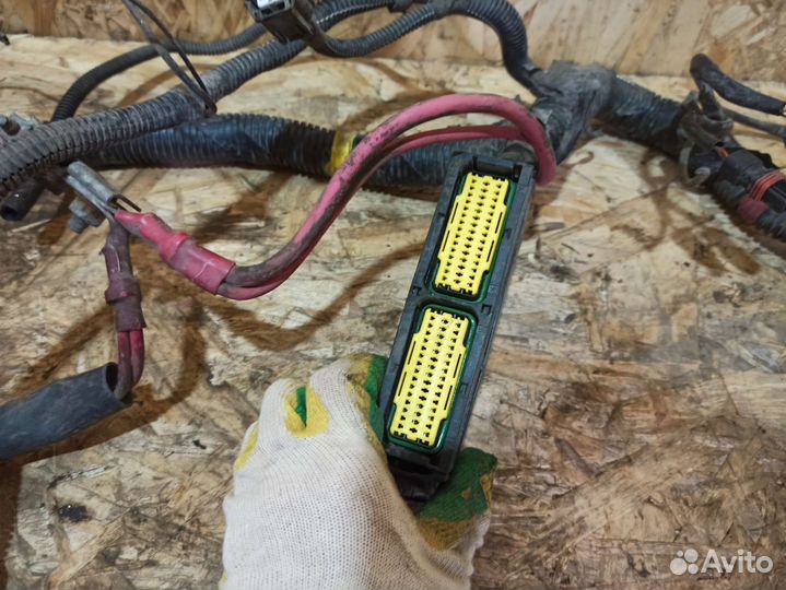 Проводка моторго отсека Renault Logan 1