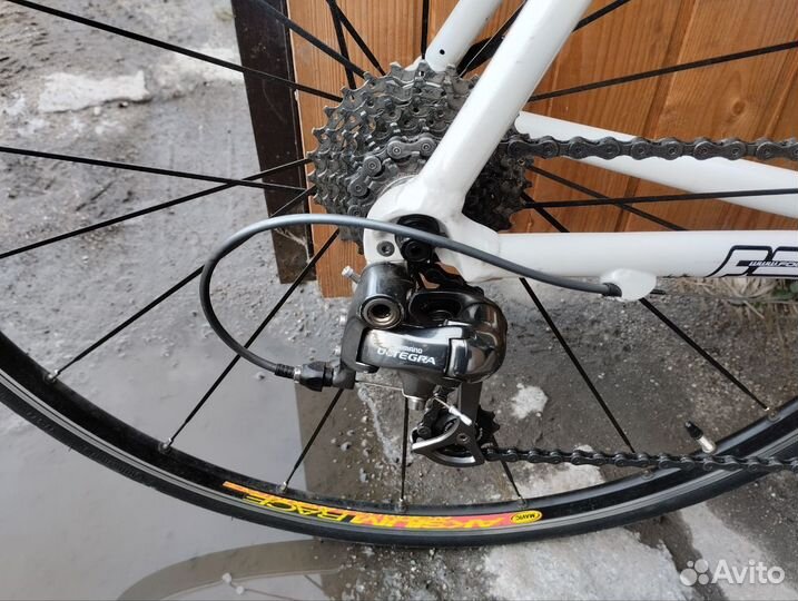 Карбоновый шоссейный велосипед (Focus)