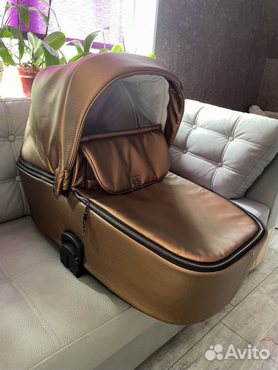 Коляска 2 в 1 Adamex Reggio Special Edition