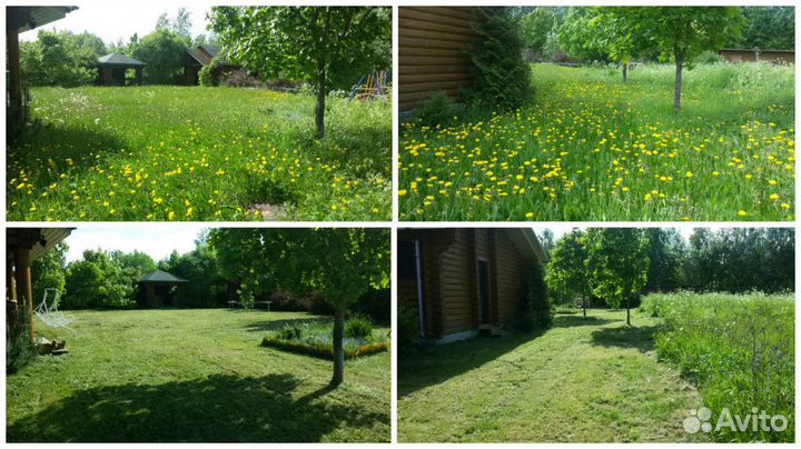 Покос травы