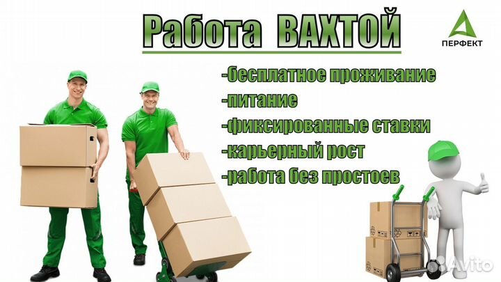 Сборщик проживание питание, бесплатно, вахта