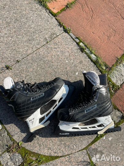 Хоккейные коньки bauer nexus