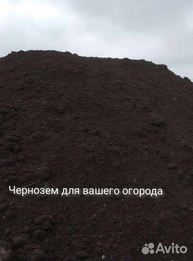 Чернозем для вашего огорода