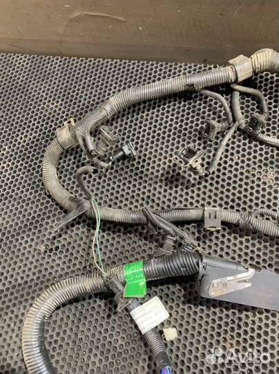 Проводка двигателя 491QE Great Wall Deer Safe