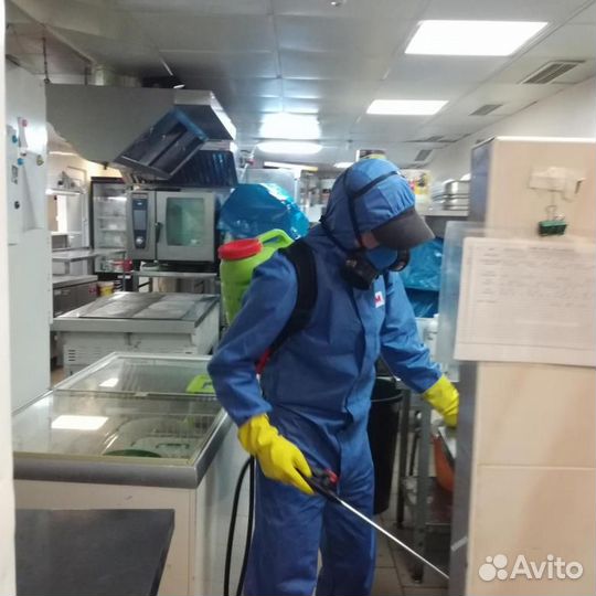 Уничтожим клопов тараканов клещей плесень запахи