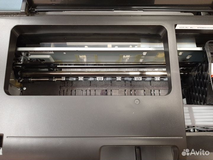 Струйный принтер epson L800