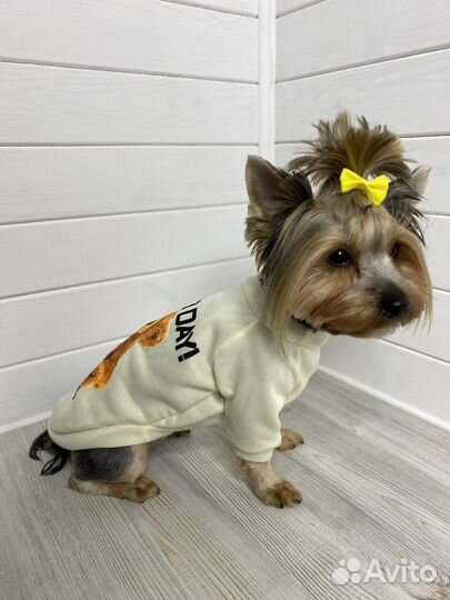 Толстовка (кофта) для собак и кошек