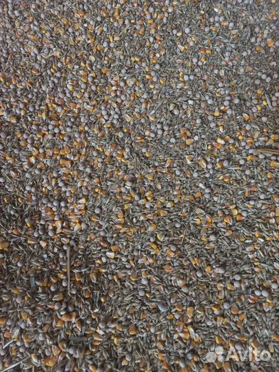 Зерносмесь