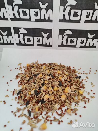 Зерносмесь цельная для с/х птиц