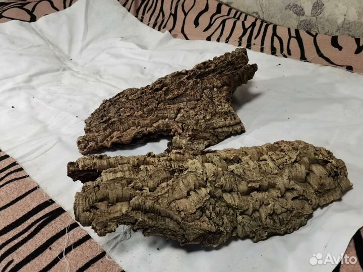 Кора пробкового дерева