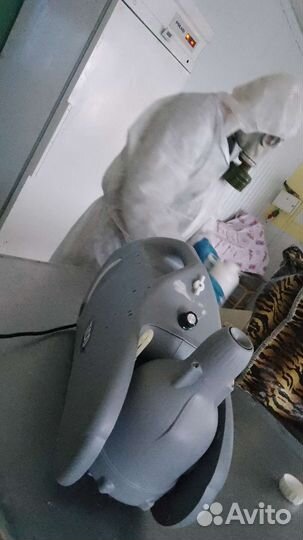 Уничтожение насекомых, запахов, плесени, борщевика