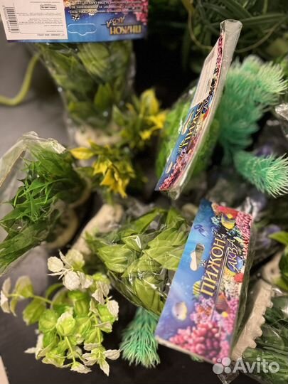 Растения для аквариума