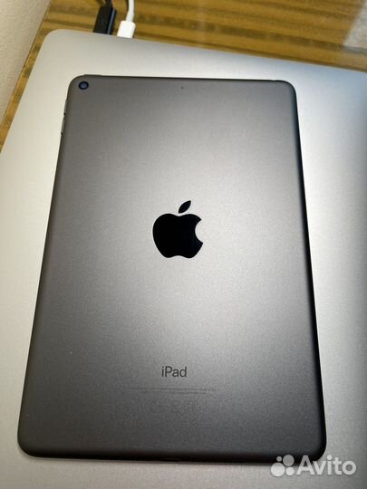 iPad mini 5 256gb wifi