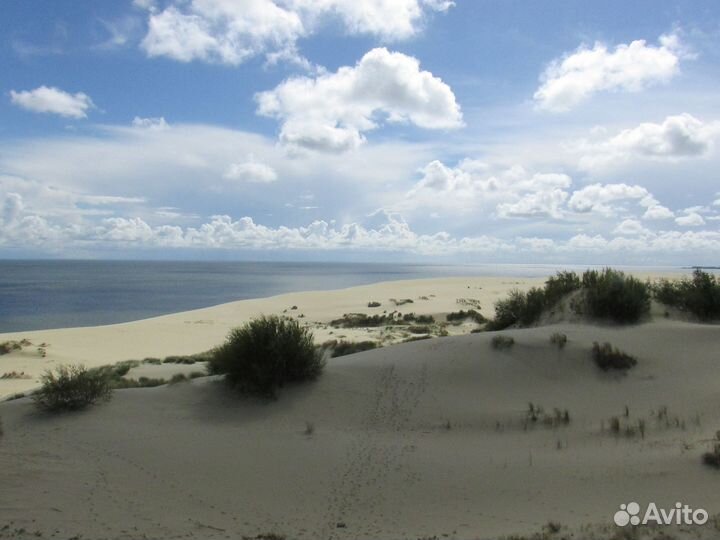 Экскурсия на Куршскую косу и Зеленоградск