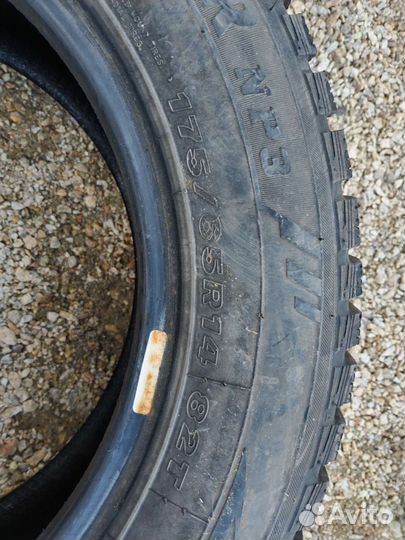 Maxxis ArcticTrekker NP3 175/65 R14 82T