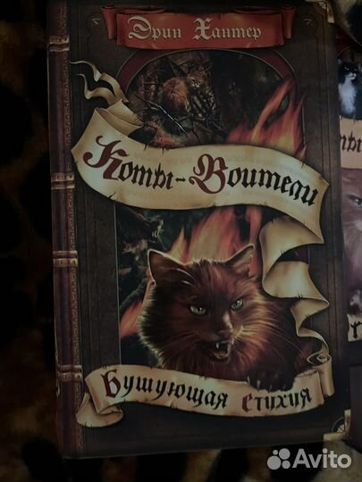 Коты-воители. Эрин Хантер