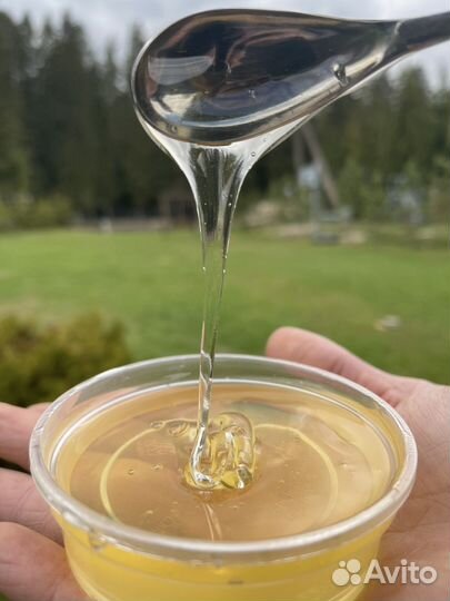 Мед (в ассортименте)