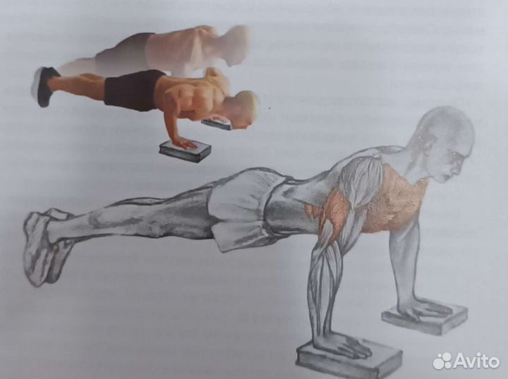 Программа тренировок в домашних условиях