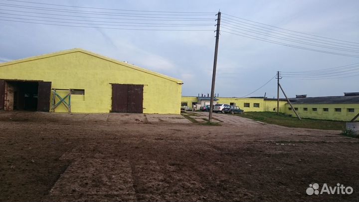 Фермерское хозяйство