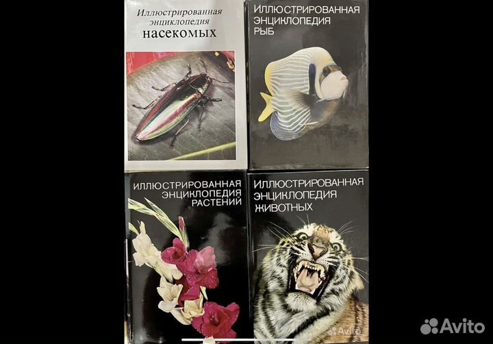 Книги сборнки