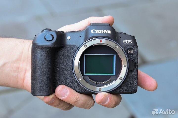 Фотоаппарат Canon R8
