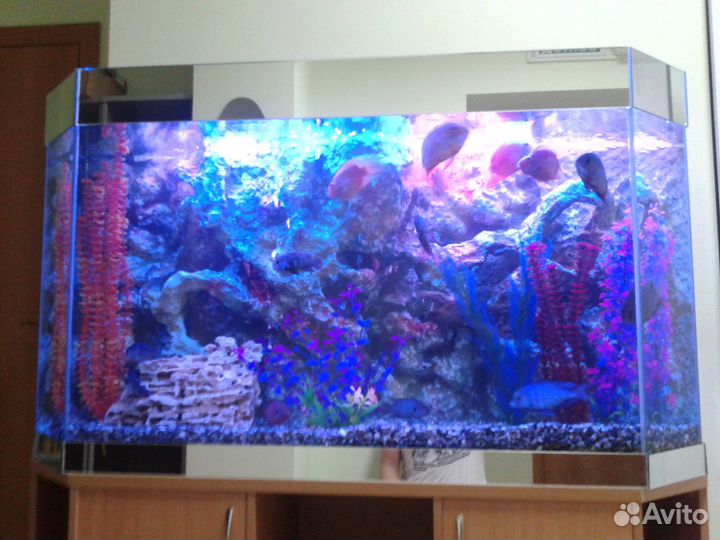 Обслуживание аквариумов