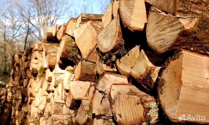 Лучшие дрова