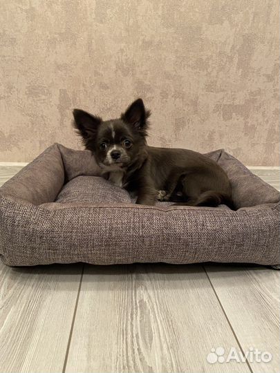 Лежанка для животных кошек и собак