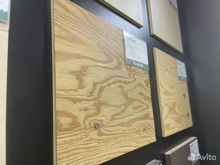 Фсф хвойная