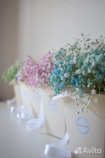 Гипсофила Цветы Букеты Доставка Спб