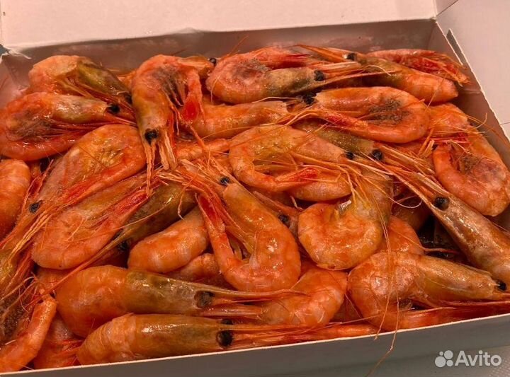 Креветка северная. Свежезамороженные. Опт